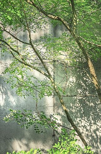 HEV_95951_95685.jpg
