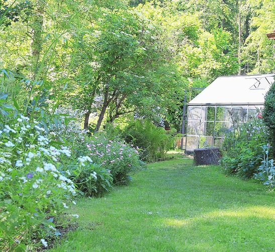 Gartengestaltung mit Rasen und Wiese