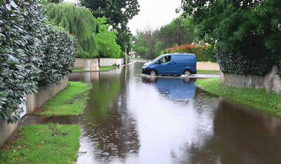 HEV_210883_208468.jpg