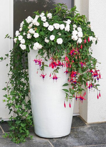 HEV_58028_57672.jpg