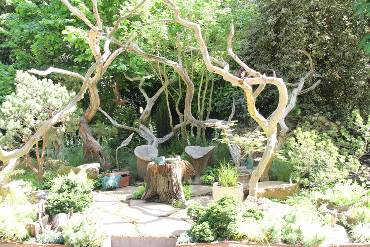 Trockene Äste im Garten