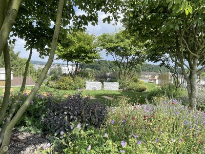 Bäume auf einer begrünten Terrasse