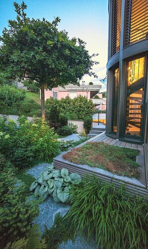 HEV_167103_165531.jpg